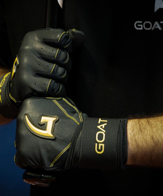 Batting Gloves