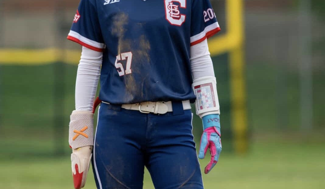 batting gloves care