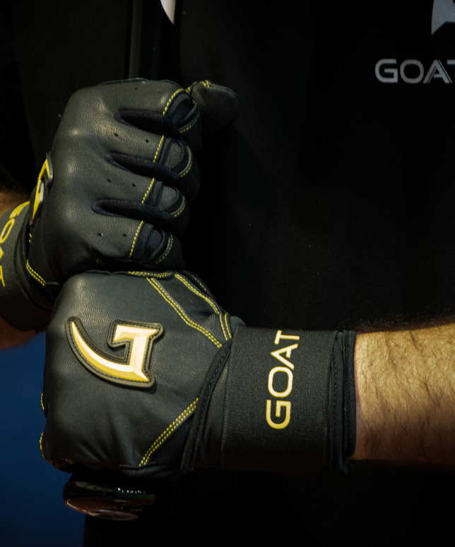 Legacy Series Batting Gloves